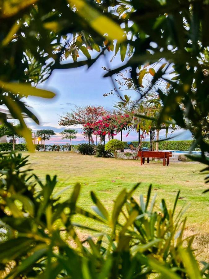 Amor Laut مابيني المظهر الخارجي الصورة