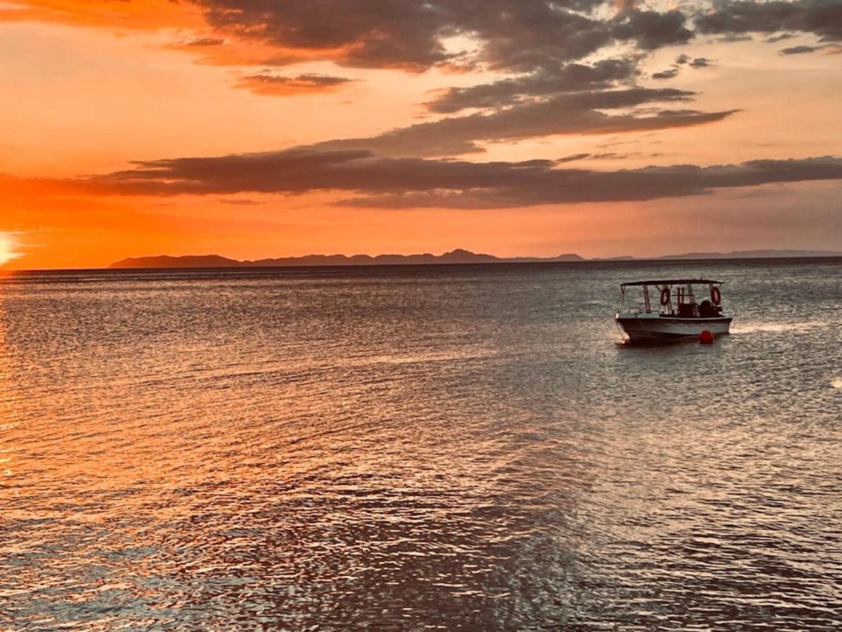 Amor Laut مابيني المظهر الخارجي الصورة